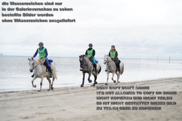 s_K3F04738.JPG